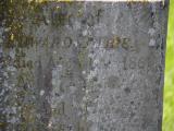 image of grave number 855122
